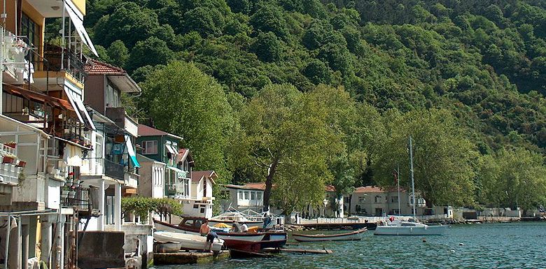 Ağva