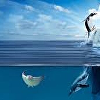 Aquarium Tour Istanbul Istanbul Com