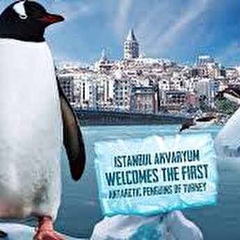 istanbul com