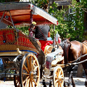 Princes Islands Full Day Tour Istanbul Islands Tour