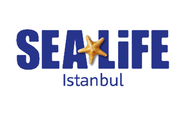 istanbul com